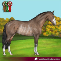 Horse Color:Brown Dun Rabicano