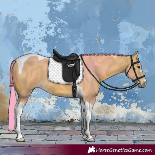 Horse Color:Watercolor Buckskin Tobiano
