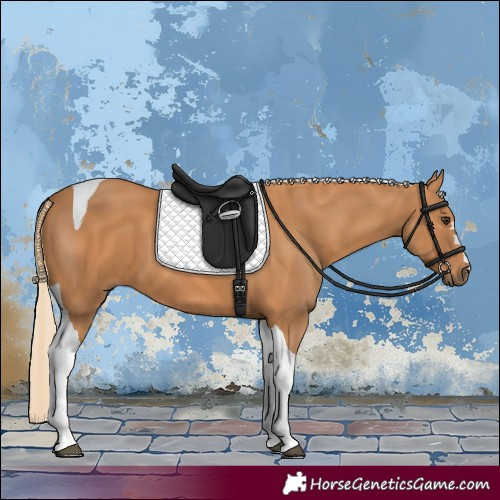 Horse Color:Chestnut Tobiano