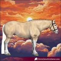 Horse Color:Palomino Splash