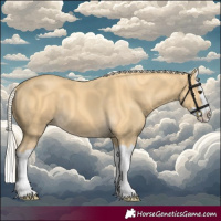 Horse Color:Palomino Splash