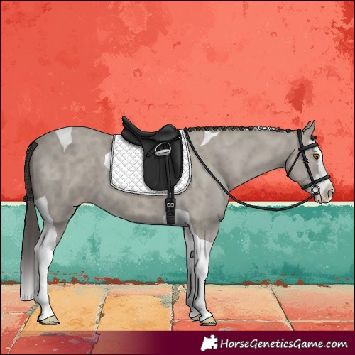 Horse Color:Classic Cream Champagne Splash Tobiano 