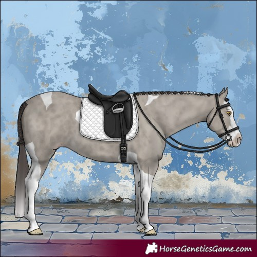 Horse Color:Classic Cream Champagne Splash Tobiano 