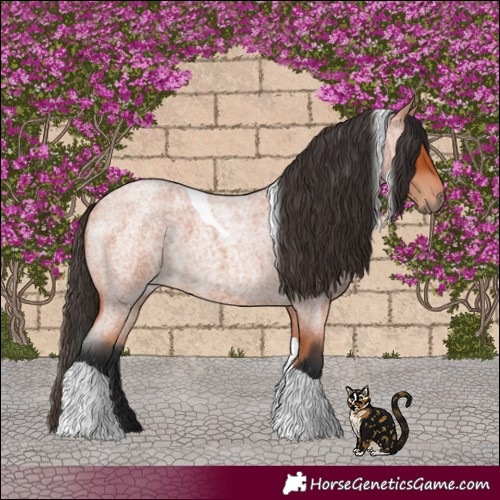 Horse Color:Bay Roan Tobiano 