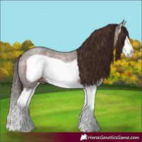 Horse Color:Liver Red Roan Splash Frame 