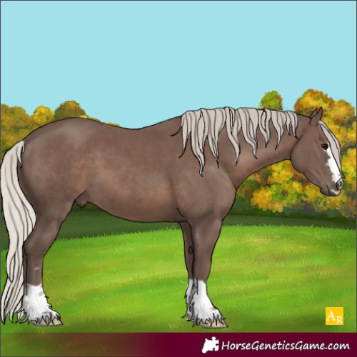 Horse Color:Silver Black 
