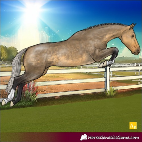 Horse Color:Silver Buckskin Dun 