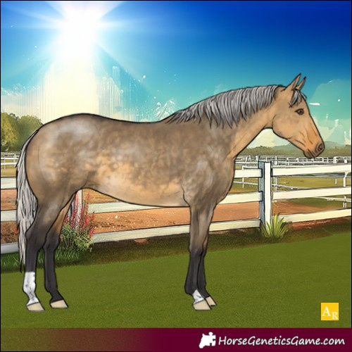 Horse Color:Silver Buckskin Dun 