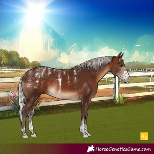 Horse Color:Powder White Silver Brown Rabicano