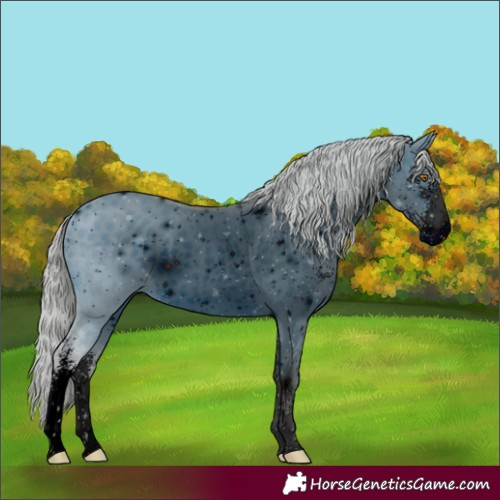 Horse Color:ERROR: UNKNOWN ANOMALY