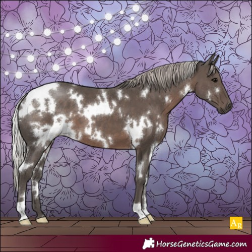 Horse Color:White Spotted Silver Black 