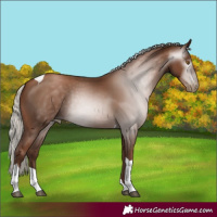 Horse Color:Gray Silver Black Pearl Tobiano
