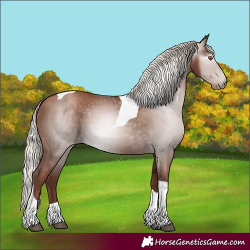 Horse Color:Gray Silver Black Pearl Tobiano 