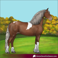 Horse Color:Gray Silver Black Pearl Tobiano 