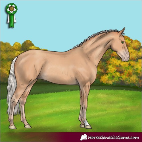 Horse Color:Silver Amber Champagne Rabicano 