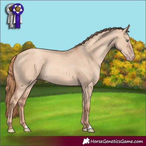 Horse Color:Gold Champagne Dun Rabicano 