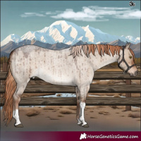 Horse Color:Liver Red Dun Roan Tobiano Brindle
