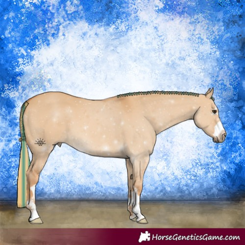 Horse Color:Painted Red Dun
