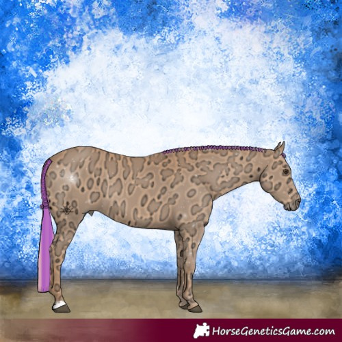 Horse Color:Painted Chestnut Ice