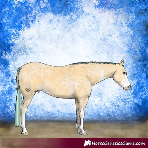 Horse Color:Painted Palomino Ice Sabino 