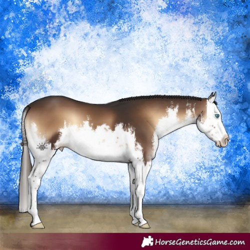 Horse Color:White Spotted Liver Red Onyx Splash 