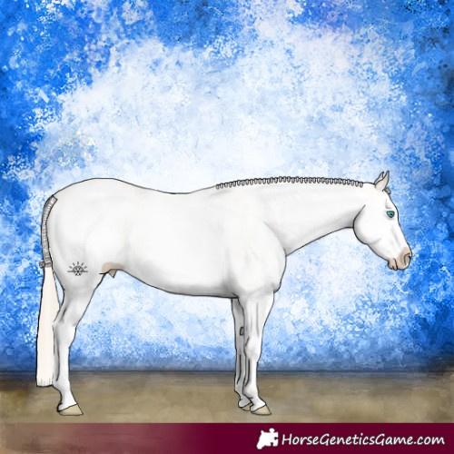 Horse Color:White Spotted Perlino Splash