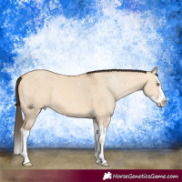 Horse Color:Amber Champagne Dun Splash