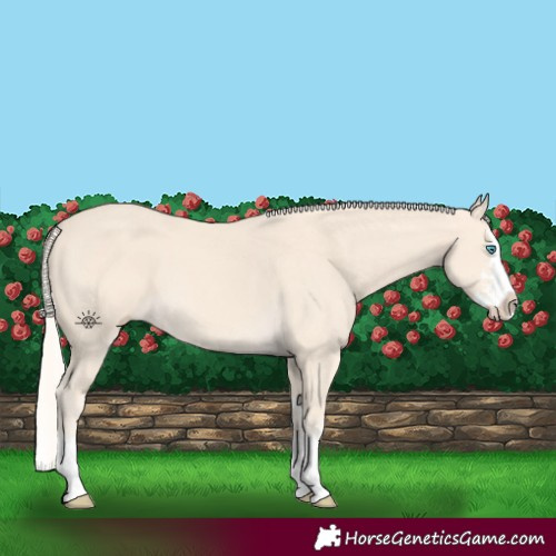 Horse Color:Cremello Sabino Splash 