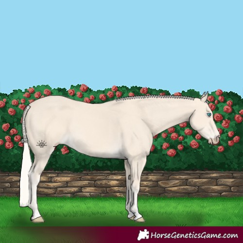 Horse Color:Cremello