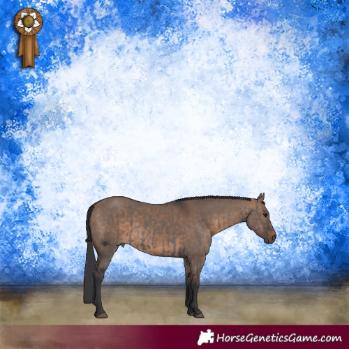 Horse Color:Grullo  and Brown Dun 