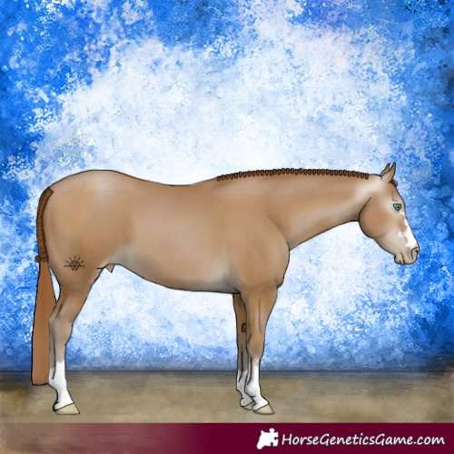 Horse Color:Gray Smoky Black Pearl 