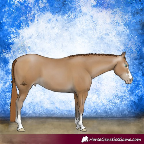 Horse Color:Gray Smoky Black Pearl 