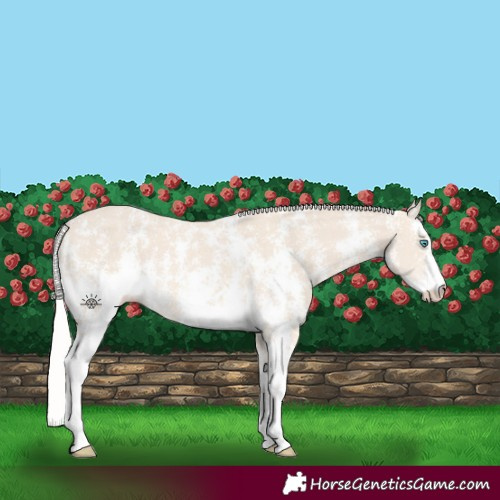 Horse Color:Cremello Sabino
