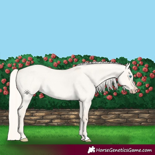 Horse Color:Cremello Roan Dun