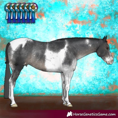 Horse Color:Black Sabino Tobiano Varnish Rabicano 