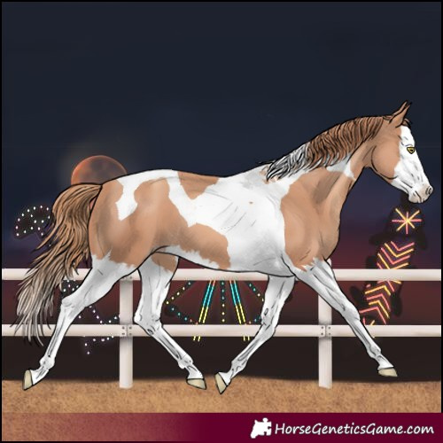 Horse Color:Gold Champagne Splash Tobiano