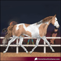 Horse Color:Gold Champagne Splash Tobiano