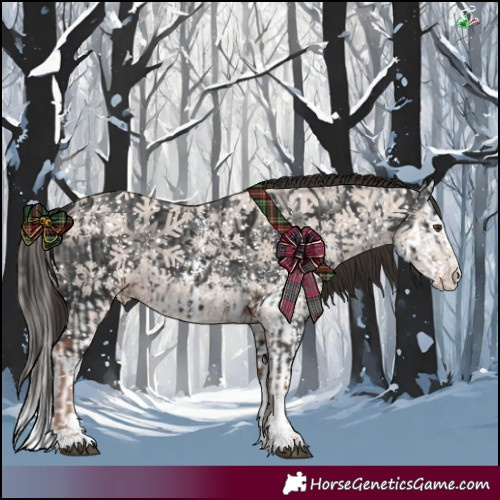 Horse Color:Liver Chestnut Sabino Splash Appaloosa and Liver Chestnut Sabino Splash Appaloosa