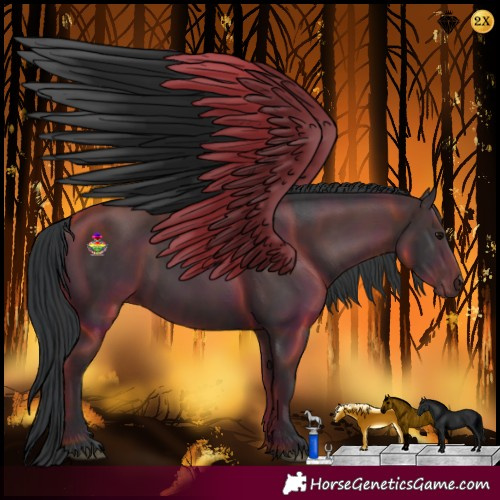 Horse Color:Black  and Black 