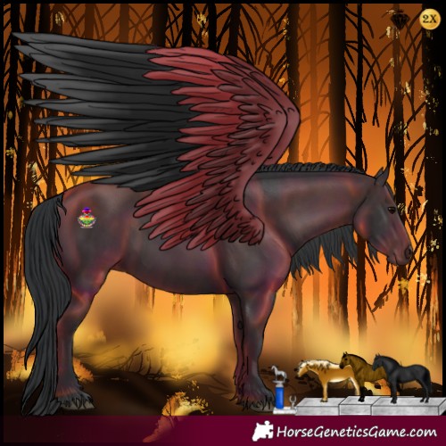 Horse Color:Black  and Black 