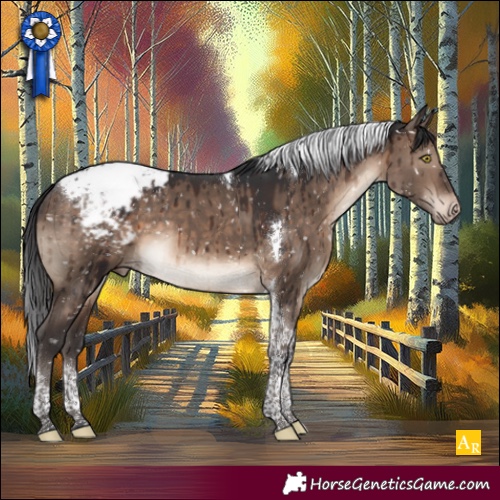 Horse Color:Brown Dun Tobiano Snowcap Brindle 