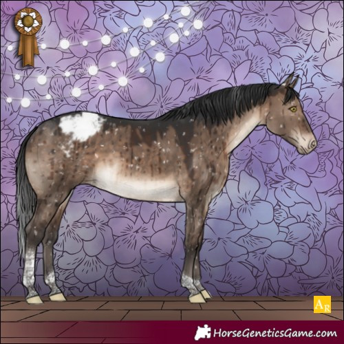 Horse Color:Brown Dun Tobiano Appaloosa Brindle