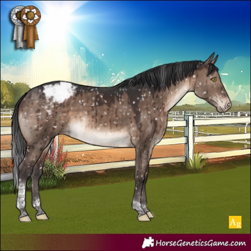 Horse Color:Brown Dun Tobiano Appaloosa Brindle 