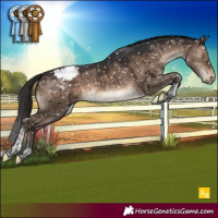 Horse Color:Brown Dun Tobiano Appaloosa Brindle 