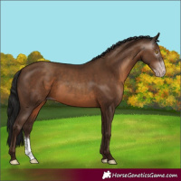 Horse Color:Gray Sable Champagne Sabino Rabicano 