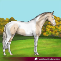 Horse Color:Chocolate Palomino Pearl Dun Tobiano 