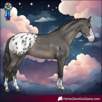Horse Color:Grullo Sabino Varnish