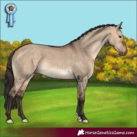 Horse Color:Bay Dun