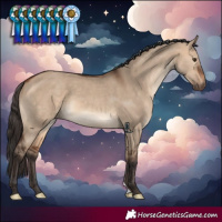 Horse Color:Bay Dun 