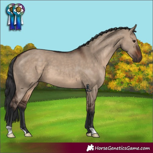 Horse Color:Brown Dun